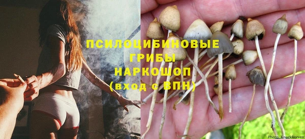 mdpv Алзамай