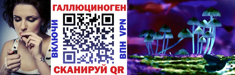 хочу   Красноуральск  ОМГ ОМГ ТОР  Галлюциногенные грибы прущие грибы 